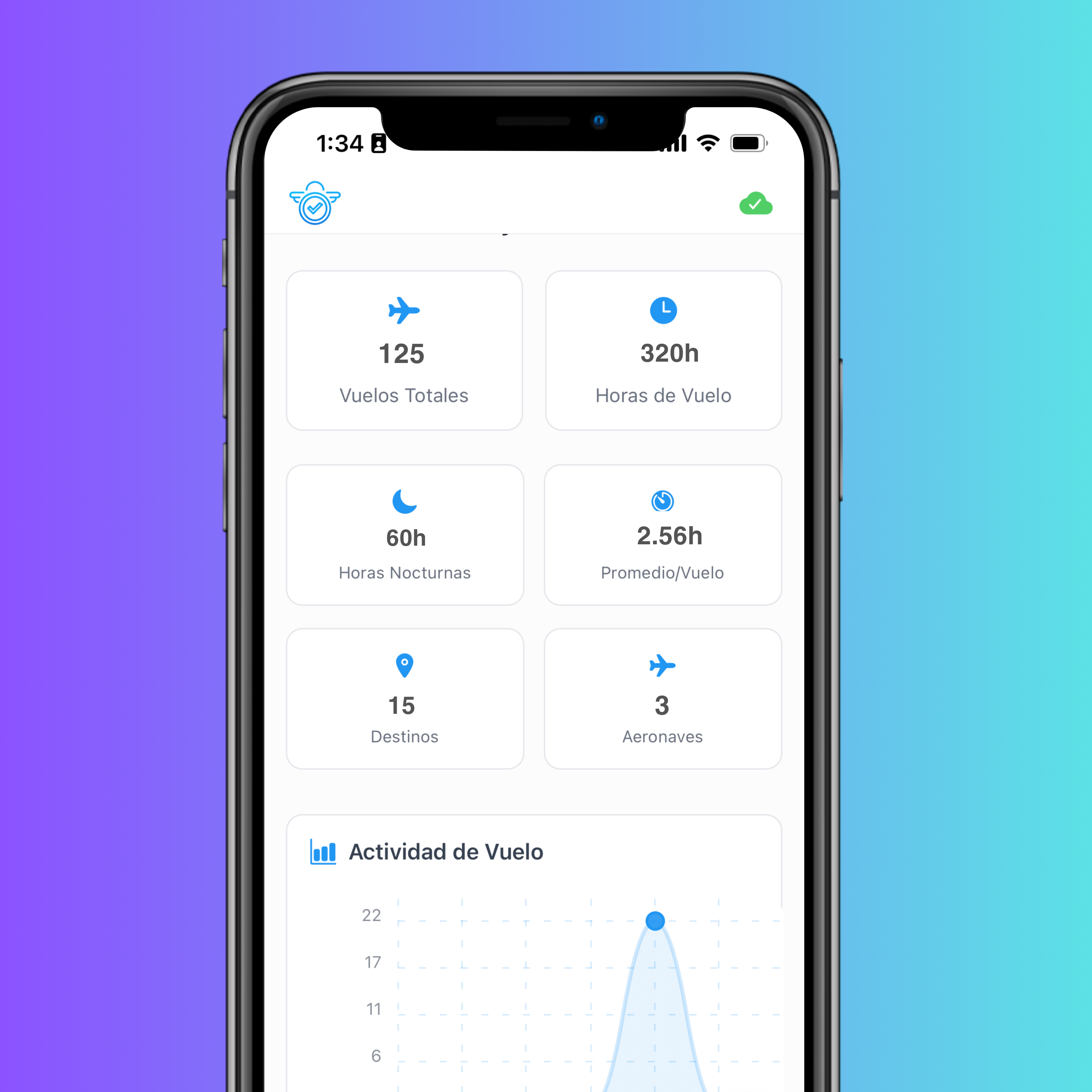 AeroCheck interface preview